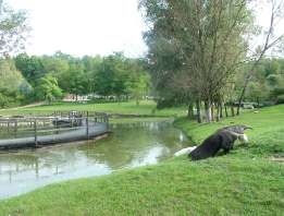 Poznan Zoo
