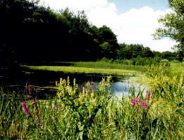 Wielkopolska National Park